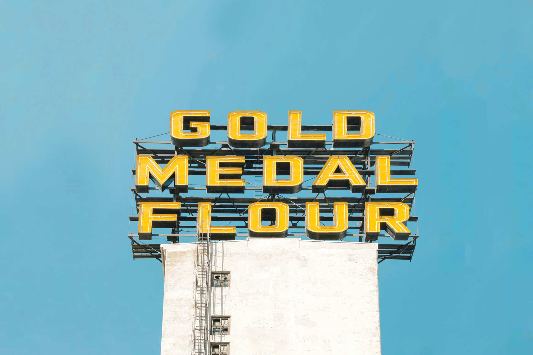 Fellow Blog November